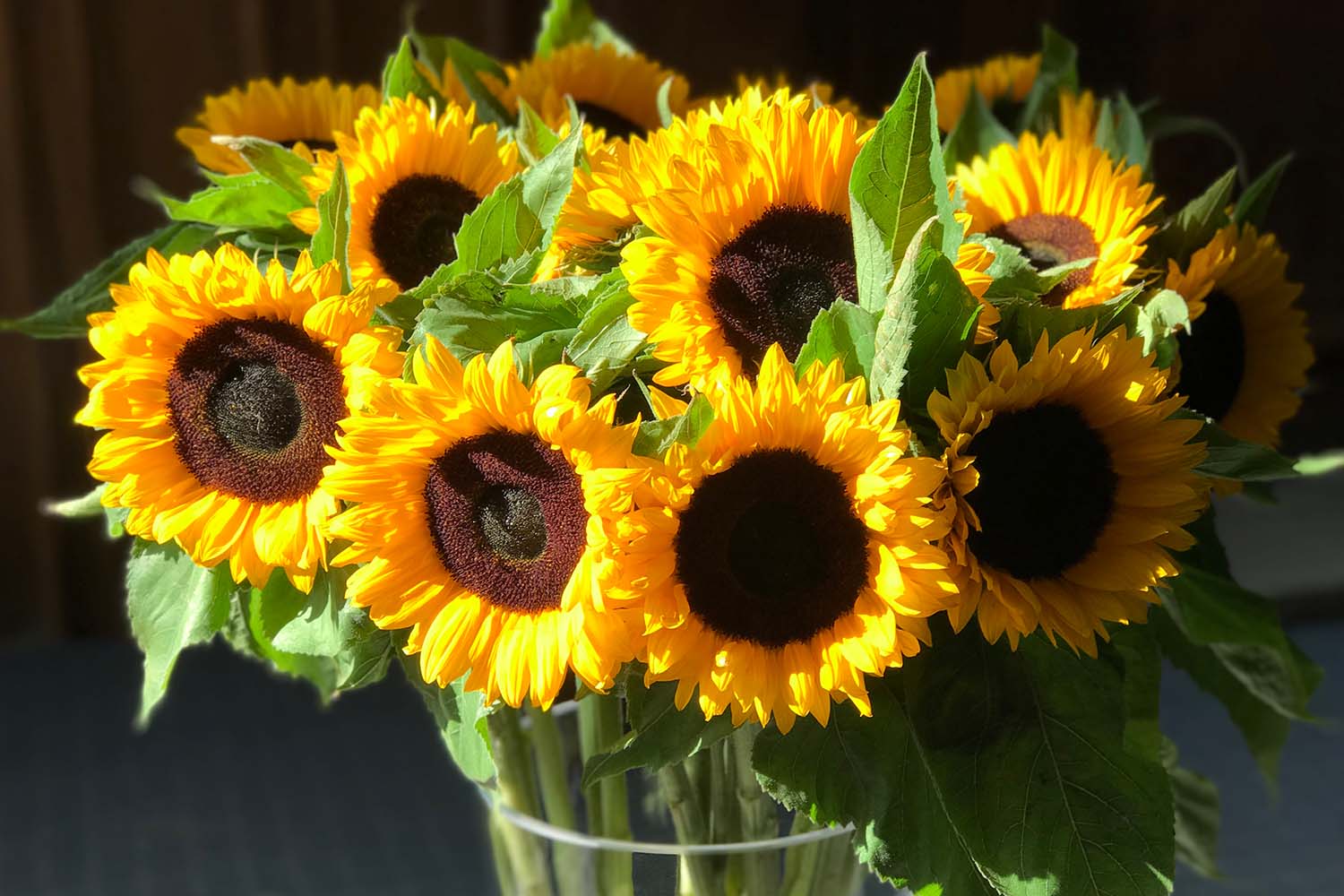 zonnebloemen in de vaas. Voor cursus 'In de stilte van Titus' tuin ©AnitA van Kempen